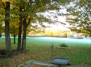 frosty morning landscape2